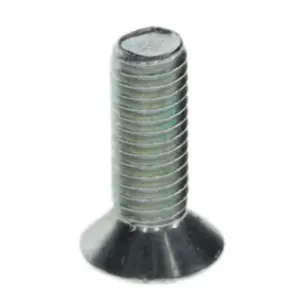 Bosch schroef M5x15 (10x)