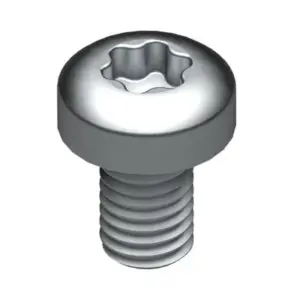 Bosch schroef M 5 x 8 (10x)