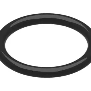 Bosch O-ring 44.20 x 5.80 (2x)