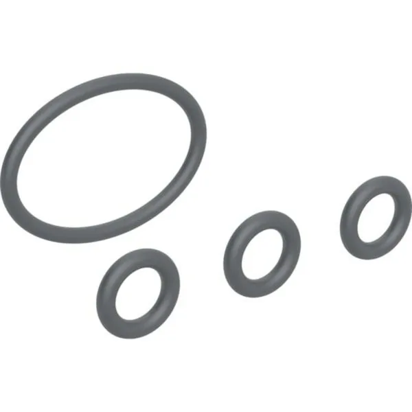 Geberit set O-ringen voordouchekop 244.633.00.1