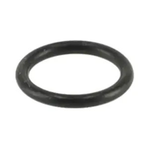 Remeha o-ring 17.86 x 2.62