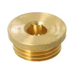 Remeha plug 1/2