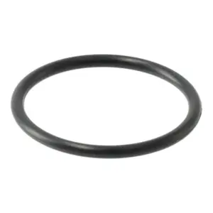 Remeha o-ring van spoel