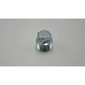 Remeha plug