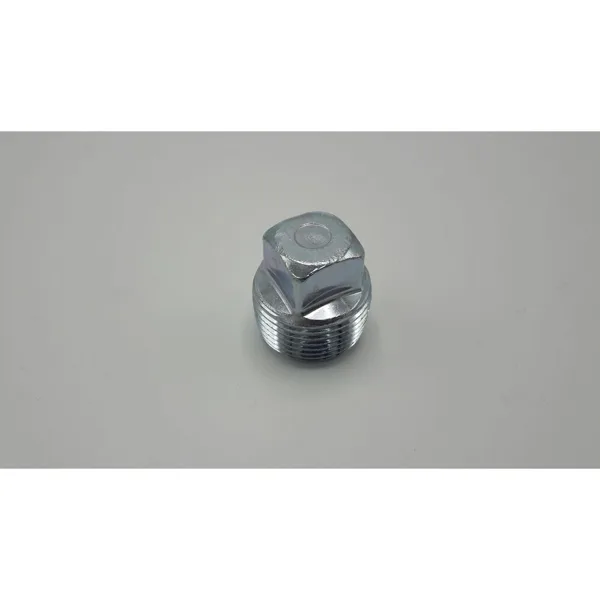 Remeha plug
