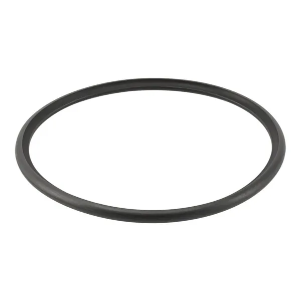 Remeha o-ring concentrische pijp d=80