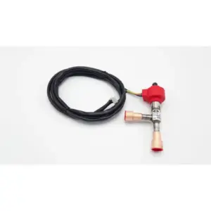 Remeha expansieklep 7695919