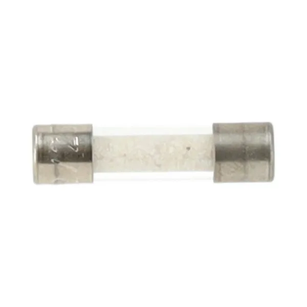 Remeha micro zekering 250V 2A 20x5mm 7695936
