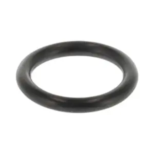 Remeha o-ring 17,04 x 3,53