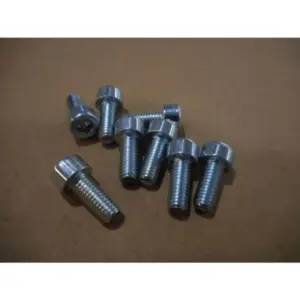 Remeha schroef M5X12 mm