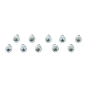 Remeha schroef M4x8 torx (10 stuks)