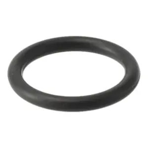 Remeha o-ring 17,13x2,62