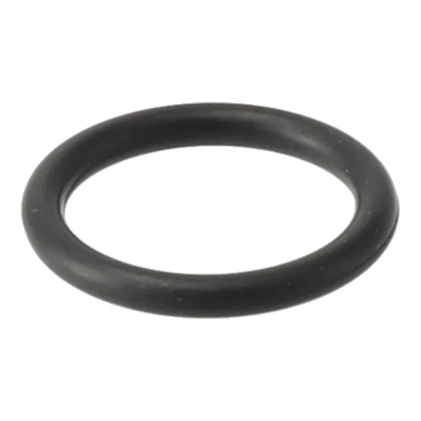 Remeha o-ring 17,13x2,62