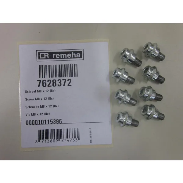 Remeha schroef M8 x 22 10x