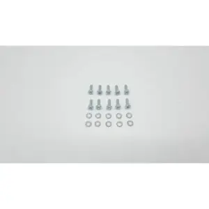 Remeha schroef Ck M4 x 12 mm 10 stuks