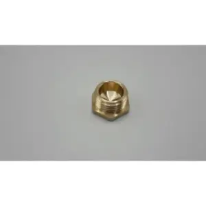 Remeha plug g1/2"
