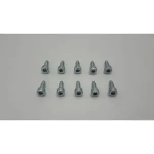 Remeha schroef M5 x 15 mm 10 stuks