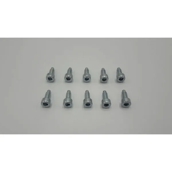 Remeha schroef M5 x 15 mm 10 stuks