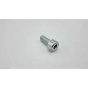 Remeha bout m8 x 20 mm