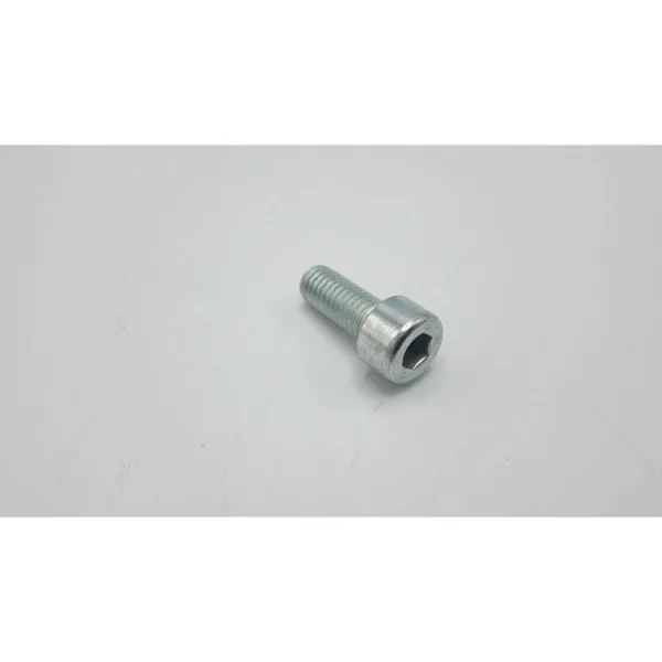 Remeha bout m8 x 20 mm