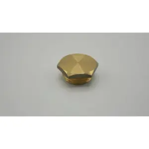 Remeha plug 3/4"
