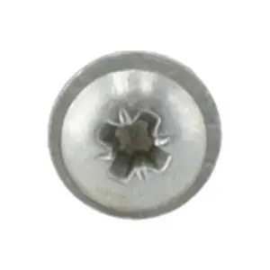 Remeha plaatschroef 3,9x13