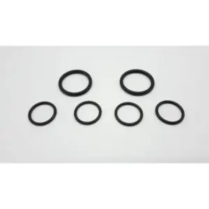 Remeha set O-ringen