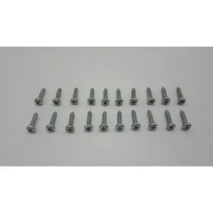 Remeha plaatschroef 3,9x19 MM. VZ