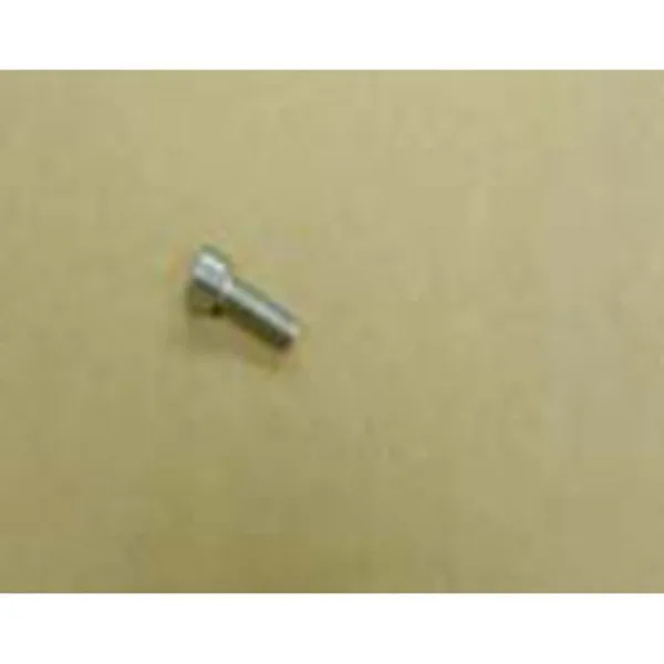 Remeha bout M6 x 16 mm