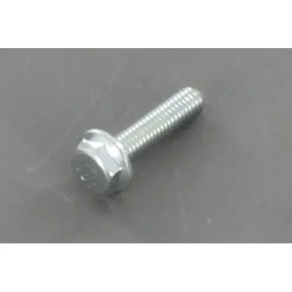 Remeha bout flens M5 x 20 mm