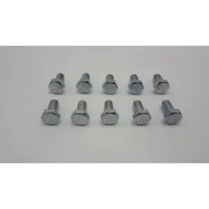 Remeha bout M6 x 12 mm 10 stuks
