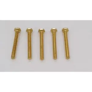 Remeha schroef M6 x 50 mm 5 stuks