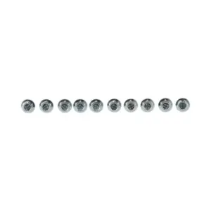 Remeha bout M5 x 12 mm 10 stuks