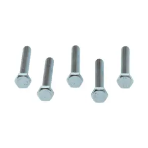 Remeha bout M8 x 60 mm 5 stuks