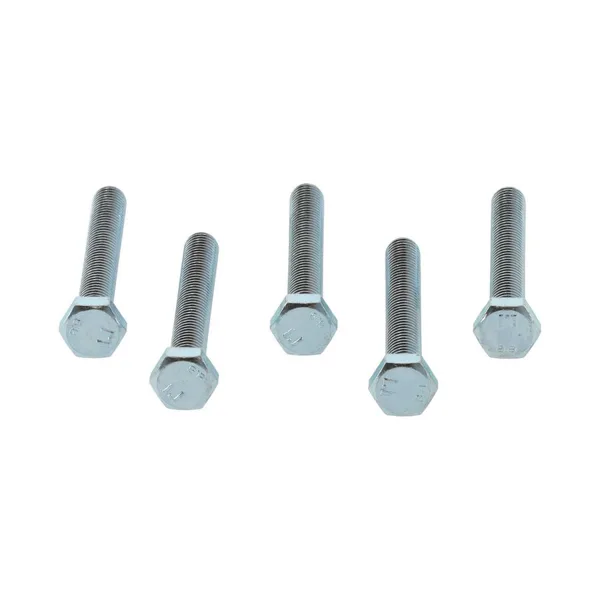 Remeha bout M8 x 60 mm 5 stuks