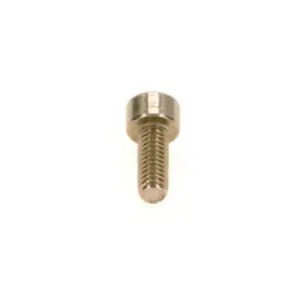 Nefit schroef DIN 912 M4X10 (5 stuks)