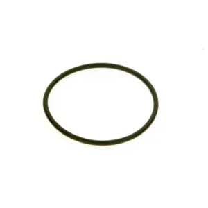 Nefit O-ring askoll (5 stuks)