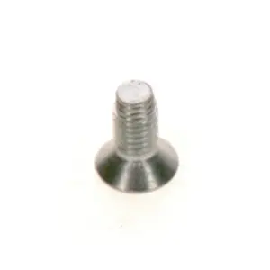 Nefit schroef 60 x 14 mm 2 stuks