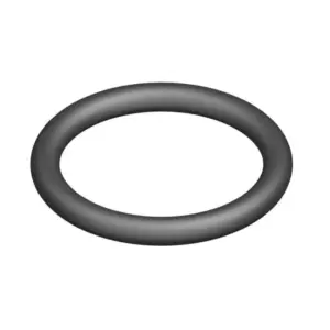 Nefit O-ring 18.7 x 2.7 mm 10 stuks