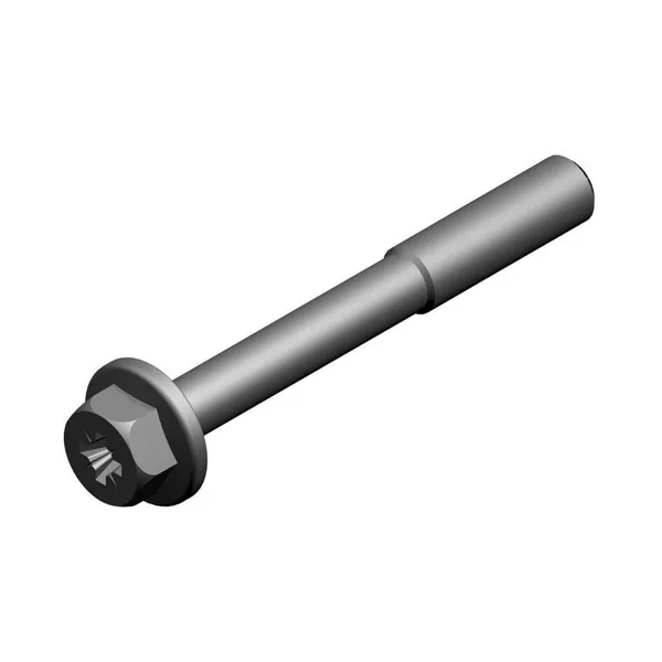 Nefit schroef (2 stuks )