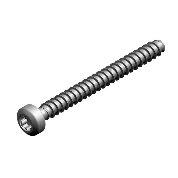 Nefit schroef m 35 x 35 (2x)