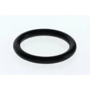 Nefit O-ring (10 x)