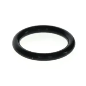 Nefit o-ring 15,88x2,62mm (10x)