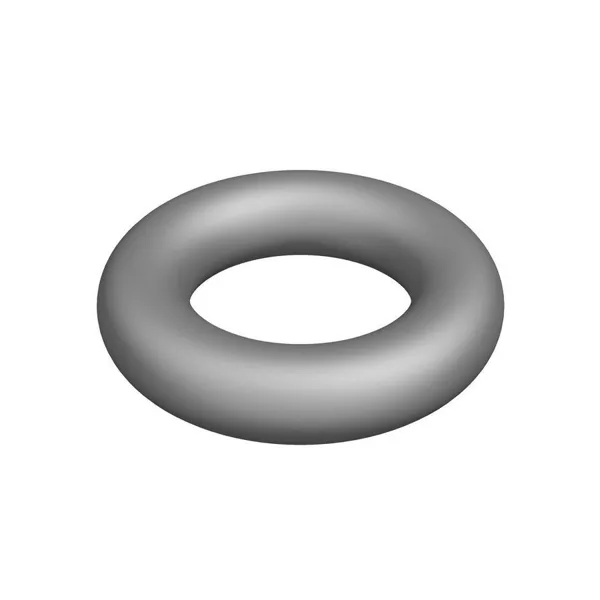 Bosch O-ring