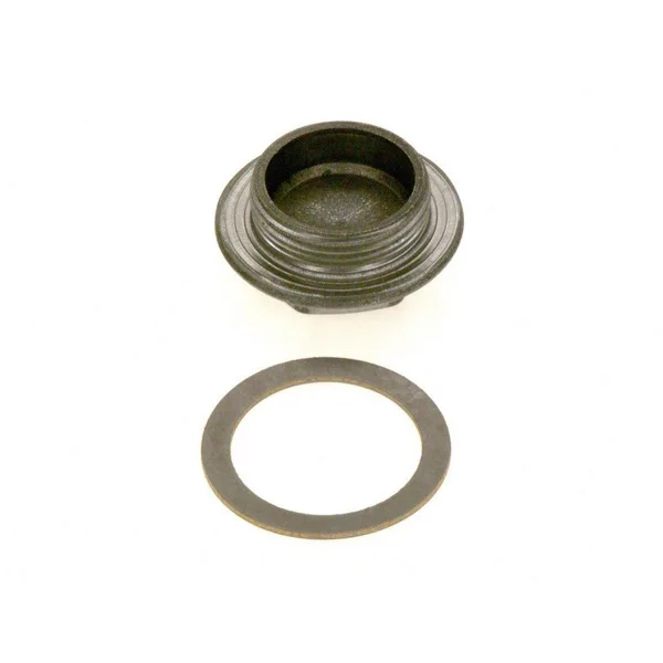 Buderus/Bosch blindplug G1.1/4 87185712580