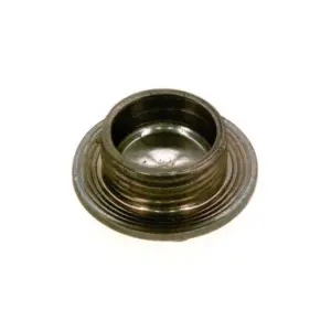 Buderus/Bosch plug G1 8718584633