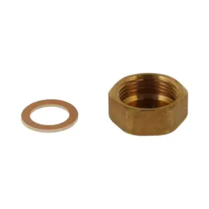 Remeha plug messing G1 F