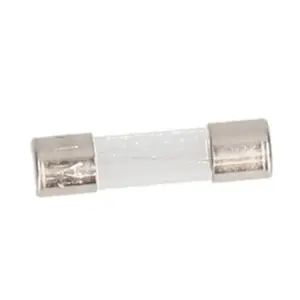 A.O. Smith zekering 1a / 250v 0310099(S)