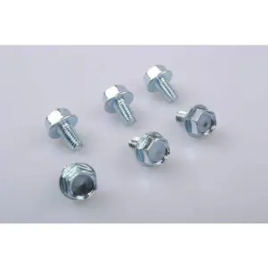 Chaffoteaux bout m8 x 14 6 stuks 60000681