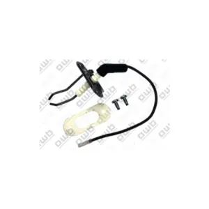 Saunier Duval / AWB ontstekingspen set 0020018434